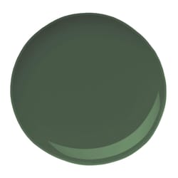 Beyond Paint Forest Green Water-Based Paint Exterior and Interior 1 qt