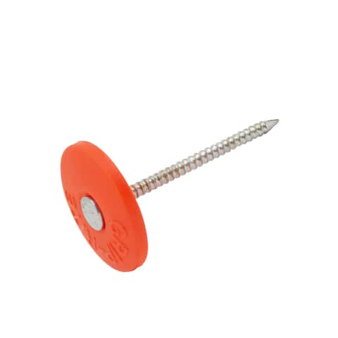 Ace 1 in. Cap Galvanized Plastic/Steel Nail Flat Head 1 lb Ace 1 in. Cap Galvanized Plastic/Steel Nail Flat Head 1 lb