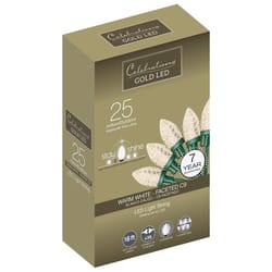 Celebrations Gold LED C9 Clear/Warm White 25 ct String Christmas Lights 16 ft.