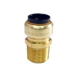 Apollo Tectite Push to Connect 3/4 in. CTS in to X 3/4 in. D MNPT Brass Adapter