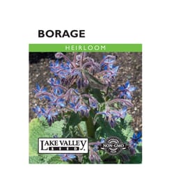 Lake Valley Seed Herb Seeds