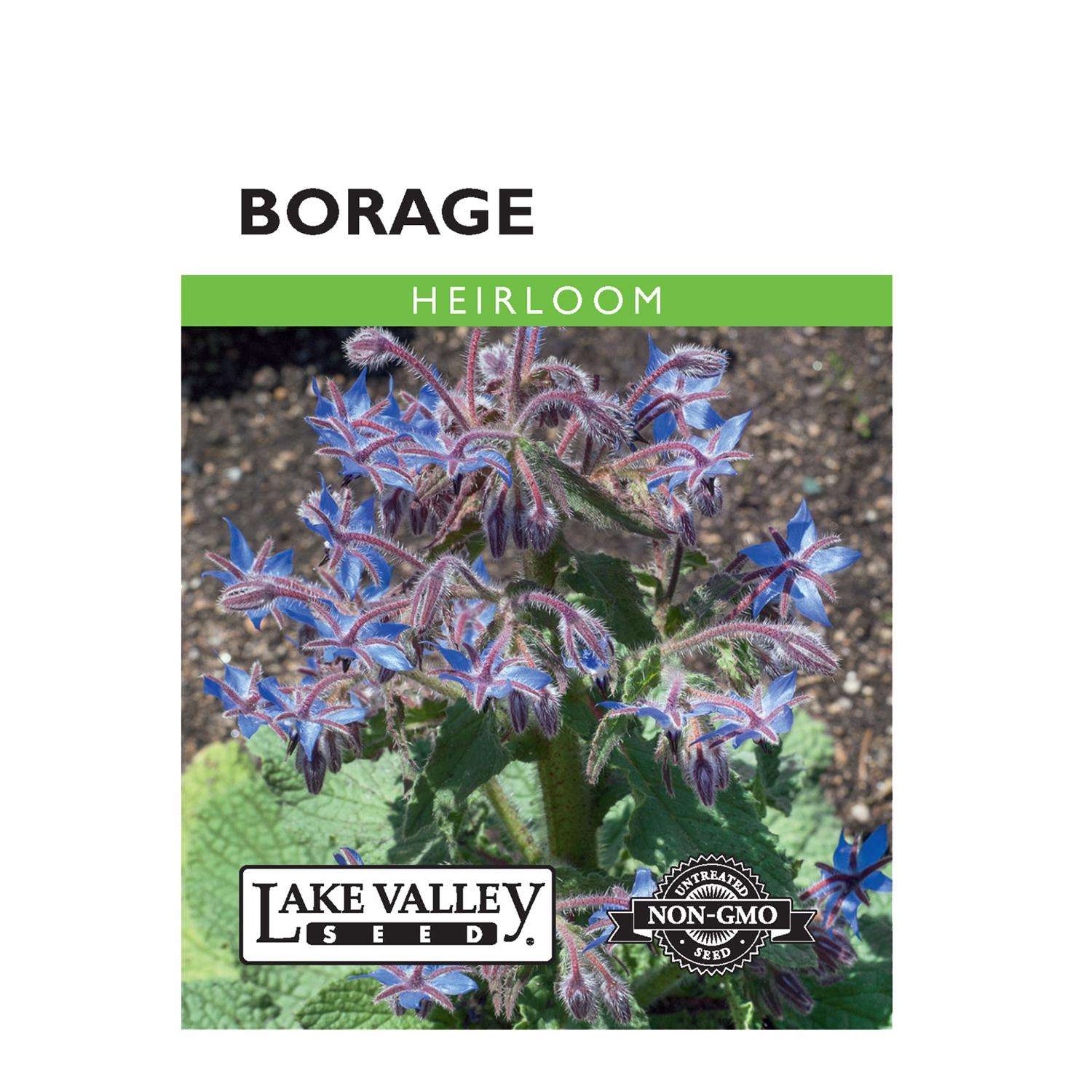Lake Valley Seed Herb Seeds Ace Hardware
