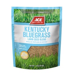 Ace Kentucky Bluegrass Full Sun Grass Seed 1 lb