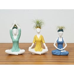 Eve's Garden 8 in. H X 3.5 in. W X 3 in. D X 3 in. D Ceramic Yoga on the Beach Air Plant and Succule