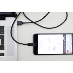 KIKKERLAND Lightning to USB Cable 3.3 ft. Black