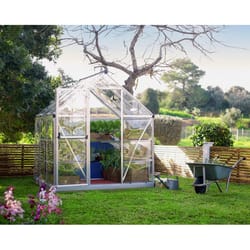 Canopia by Palram Harmony Silver 81.9 in. H X 72.8 in. W Walk-In Greenhouse