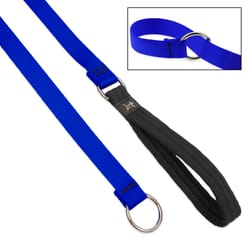 LupinePet Basic Solids Blue Blue Nylon Dog Training Leash