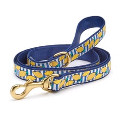 Up Country Multicolored Make Lemonade Nylon Dog Leash