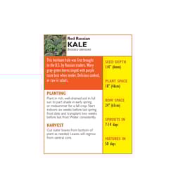 Lake Valley Seed Vegetable Seeds