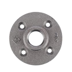 STZ Industries 3/4 in. FIP each Black Malleable Iron Floor Flange