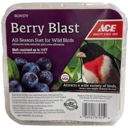 Ace Berry Blast Assorted Species Beef Suet 11 oz