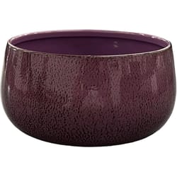 Robert Allen 5 in. D Steel Mini Bella Bowl Planter Purple