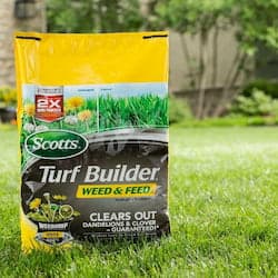 scotts lawn maintenance