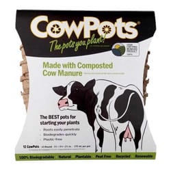 CowPots 1 Cells 3.38 in. H X 3.25 in. W X 2.25 in. L Seed Starting Pot 12 pk