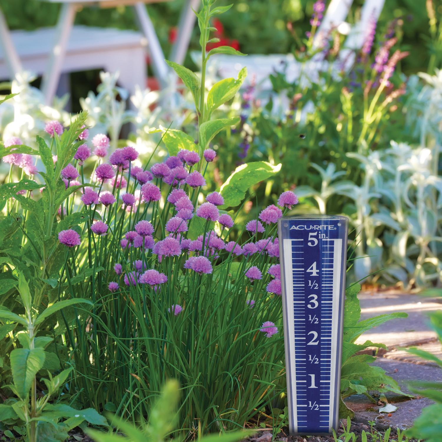 AcuRite Rain Gauge Keyhole 1.5 in. W X 2.8 in. L