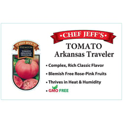 Chef Jeff Pink  Premium Arkansas Traveler Tomato Vegetable Plant