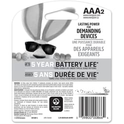 Energizer NiMH AAA 1.2 V 0.8 mAh Rechargeable Battery 2 pk