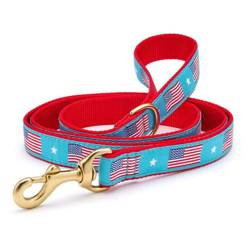 Up Country Multicolor Flag Day Nylon Dog Leash