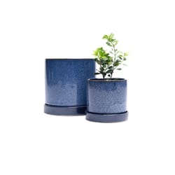 Chive Minute 3 in. D Ceramic Succulent Pot Blue Cosmos