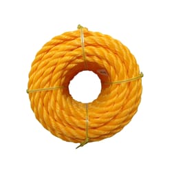 Wellington 1/2 in. D X 50 ft. L Yellow Twisted Poly Rope
