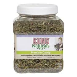 Kong Grain Free Catnip For Cat 2 oz 1 pk