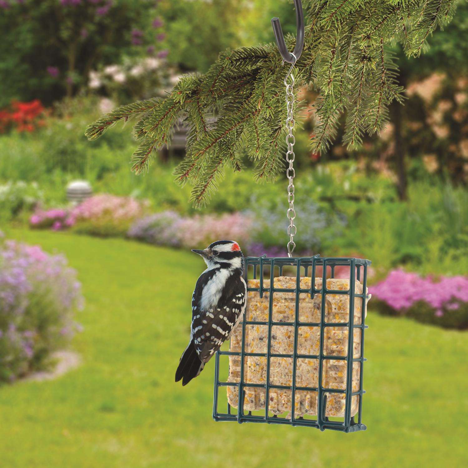 Hanging Chain, 2-Pack, for Bird Feeders, Planters, Fixtures, Lanterns, Suet Baskets, Wind Chimes - Black, Size: 35