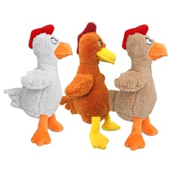 Petsport Assorted Plush Rodney Rooster Dog Toy Medium/Large 1 pk