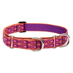 LupinePet Original Designs Multicolored Alpen Glow Nylon Dog Martingale Medium/Large