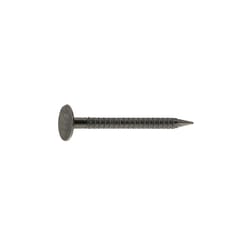 Grip-Rite 3-1/4 in. Drywall Bright Steel Nail Flat Head 5 lb