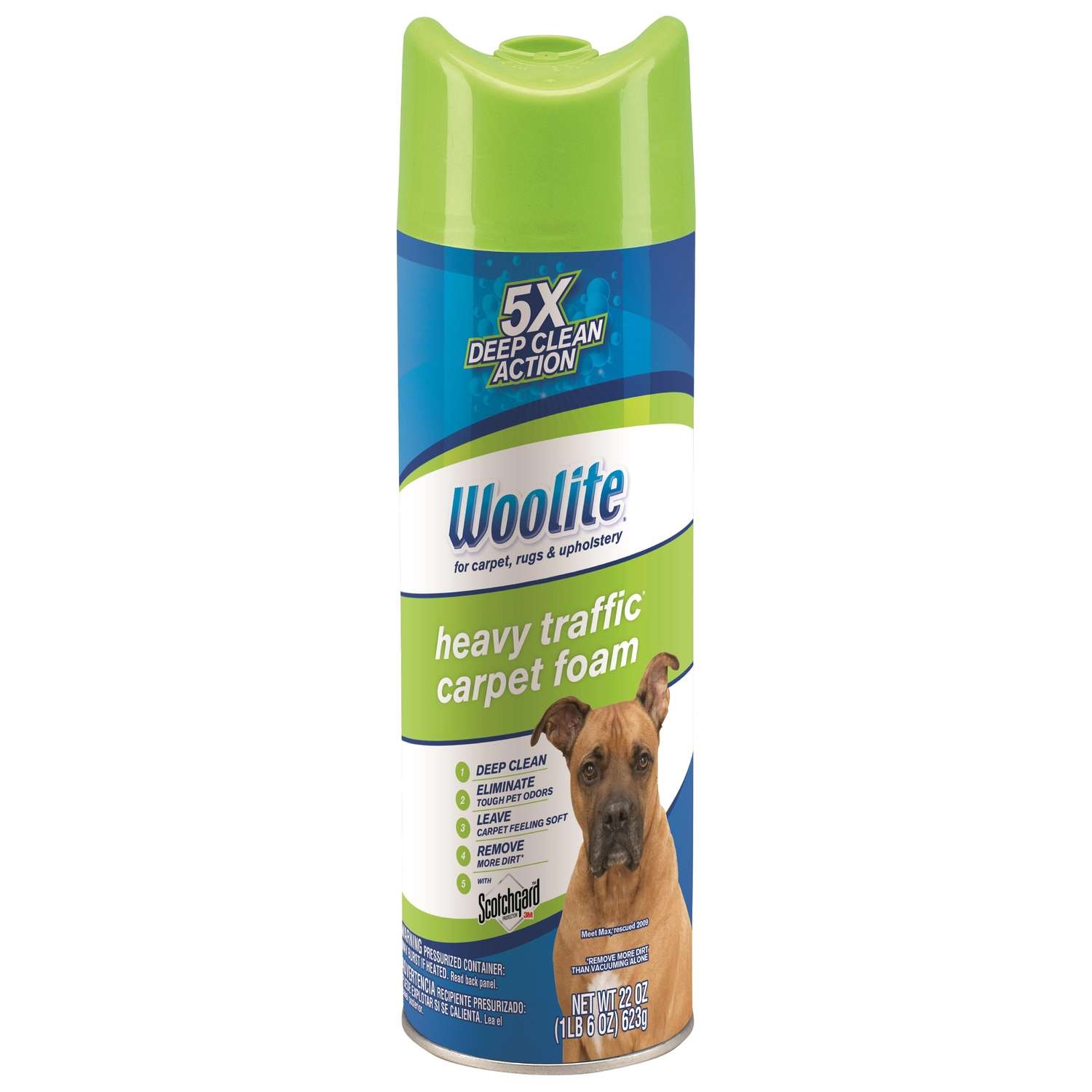 Woolite Heavy Traffic Fresh Scent Carpet Cleaner 22 oz Foam Ace Hardware