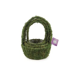 SuperMoss Deco Wire Miramonte Planter Set Green