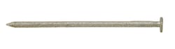 Ace 6D 2 in. Box Hot-Dipped Galvanized Steel Nail Flat Head 5 lb