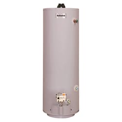 Reliance 40 gal 32000 BTU Natural Gas/Propane Mobile Home Water Heater