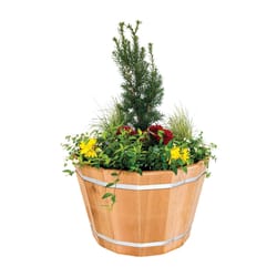 Real Wood Products 16 in. H X 24 in. W X 24 in. D Cedar Traditional Tub Planter Natural