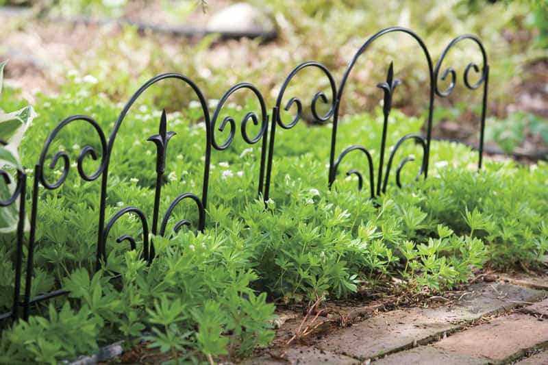 Panacea 16 in. L x 18 in. H Steel Black Garden Fence Ace Hardware