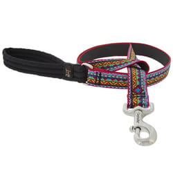 LupinePet Original Designs Multicolor El Paso Nylon Dog Leash