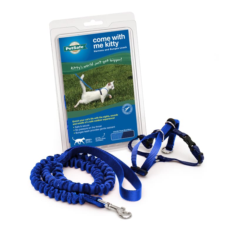 PetSafe Come with me kitty Royal Blue Harness Leash Nylon Cat Leash and Harness Small Mfr CWMK S RYL Ace Hardware