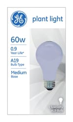 GE 60 W A19 Decorative Incandescent Bulb E26 (Medium) Daylight 1 pk
