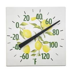 Taylor 120 deg Lemons Thermometer 8 in. L X 8 in. W White