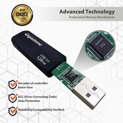 Gigastone Z30 Flash Drive 128 GB 1 pk