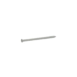 Grip-Rite 6D 2 in. Shake Hot-Dipped Galvanized Steel Nail Round Head 1 lb