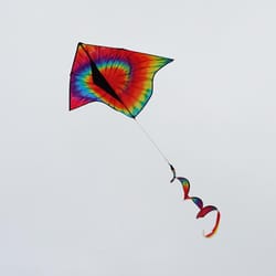 Tomoro Delta Kite