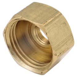 Anderson Metals 3/4 in. Female Hose in. X 1/8 in. D FIP Brass Adapter