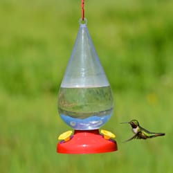 Perky-Pet Hummingbird 32 oz Plastic Nectar Bird Feeder 3 ports