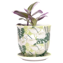 Chive Liberte 3.25 in. D Ceramic Succulent Pot Green Monstera