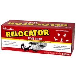 Intruder Relocator Medium Live Catch Animal Trap For Rabbits 1 pk