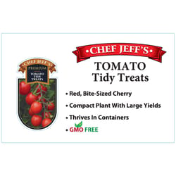 Chef Jeff Red Premium Tidy Treats Tomato Vegetable Plant