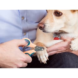 Zen Clipper Multicolored All Pets Nail Clipper