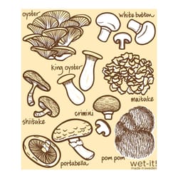wet-it! Cotton Super Absorbent Cloths 1 pk