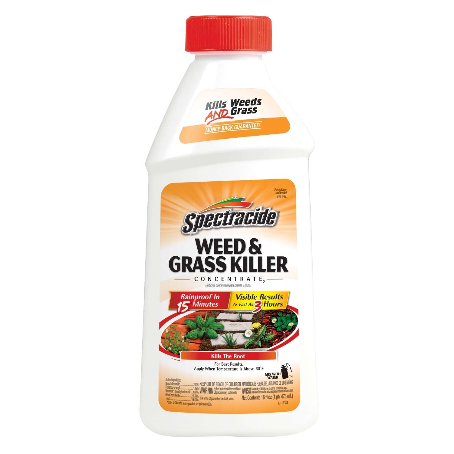 Spectracide Grass & Weed Killer Concentrate 16 oz Ace Hardware